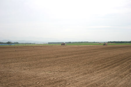 2009年梅雨時期の有機大豆播種